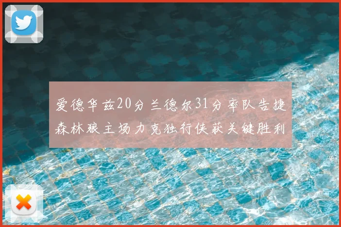 爱德华兹20分兰德尔31分率队告捷森林狼主场力克独行侠获关键胜利